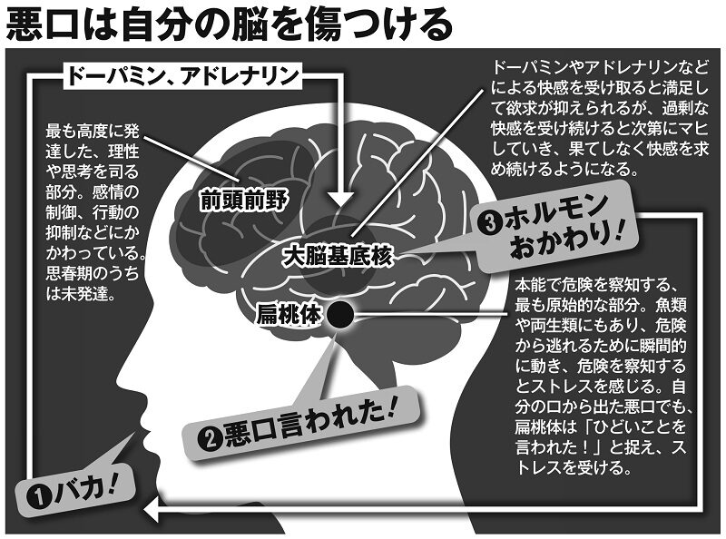 介護ポストセブン|悪口は自分の脳を傷つける!脳科学で読み解く“言葉のダメージ”
